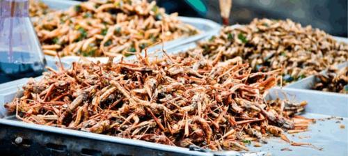 佳美A310真的能让新手拍出专业级照片吗? 佳美A310真的能让新手拍出专业级照片吗?