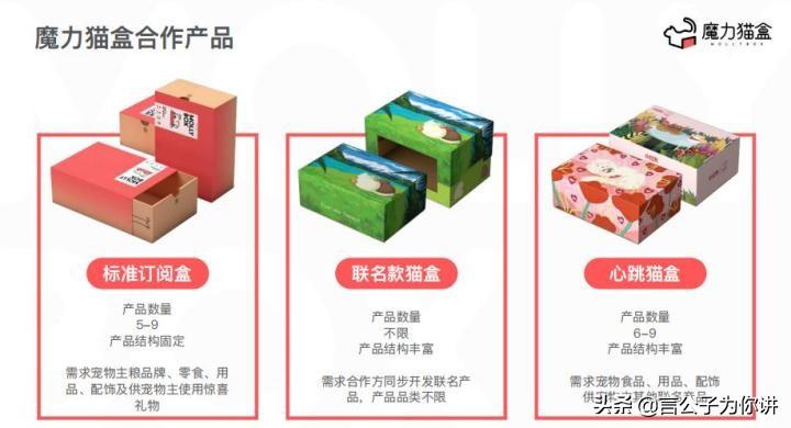 你家猫主子到底几岁？这些秘密养猫新手都不知道！