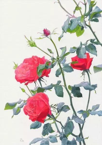 30秒就能画出治愈系小猫咪? 30秒就能画出治愈系小猫咪?