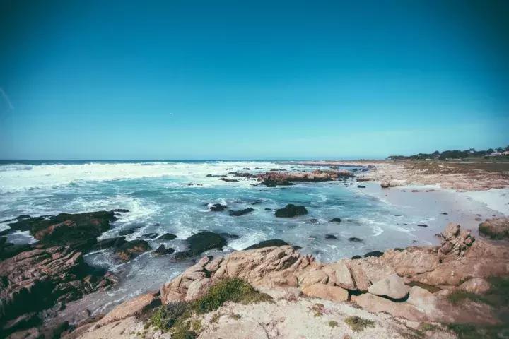 北美华人论坛小说狗到底怎么玩才不踩坑？