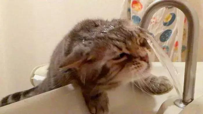 瑞风S3真的能成为新手第一辆车的省心之选吗? 瑞风S3真的能成为新手第一辆车的省心之选吗?