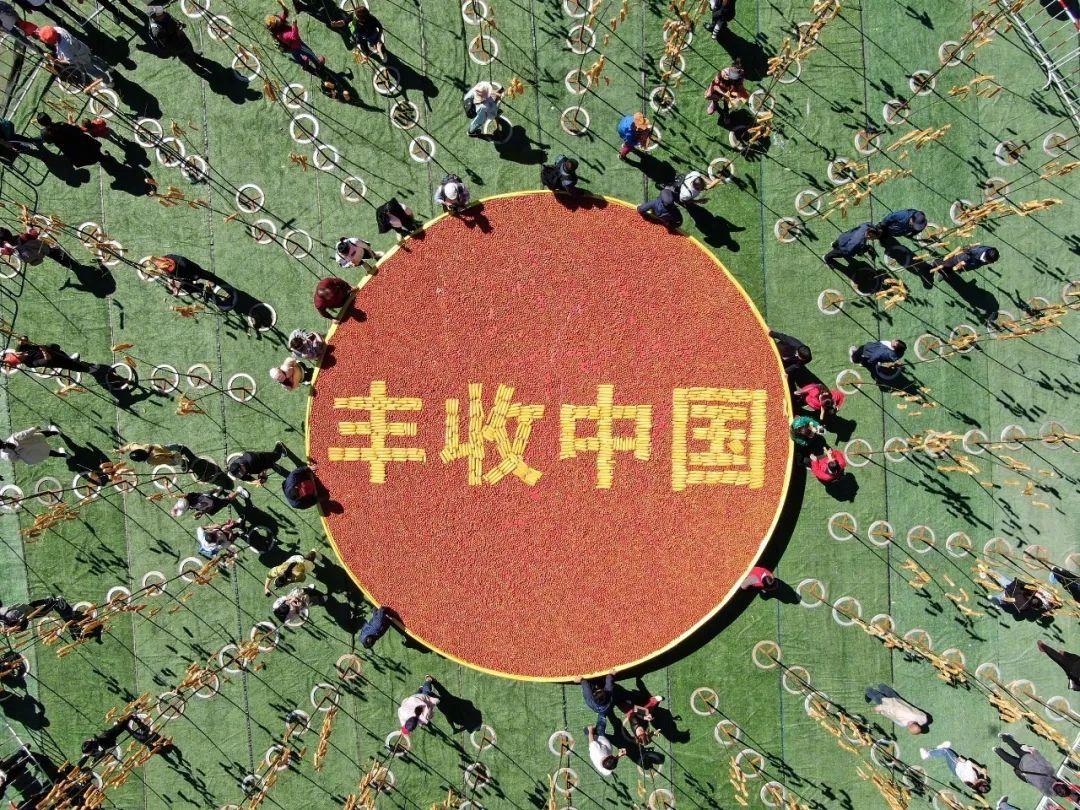 猫咪偷吃山楂真的会出事吗? 猫咪偷吃山楂真的会出事吗?