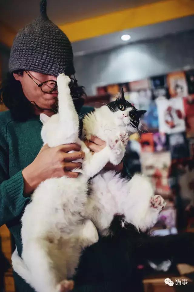 你家猫主子冲你眨眼是几个意思？