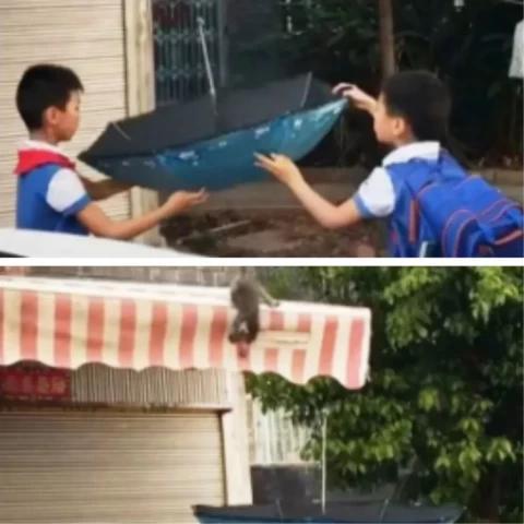 在泰国做生意找不到靠谱合作伙伴？华人论坛真的能帮你吗？