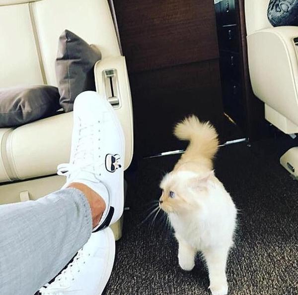 Baccarat Extrait: Parfum Mewah dengan Aroma Istimewa dan Karakteristik Unik