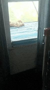 猫咪开心表情包怎么用才能让人秒回你？