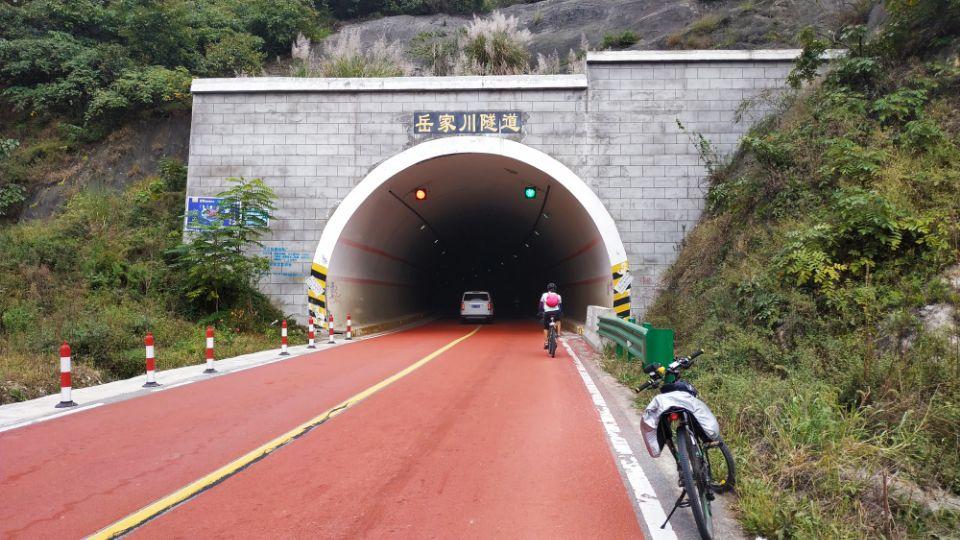 给猫咪滴眼药水总被挠？这3个错误你犯过吗？