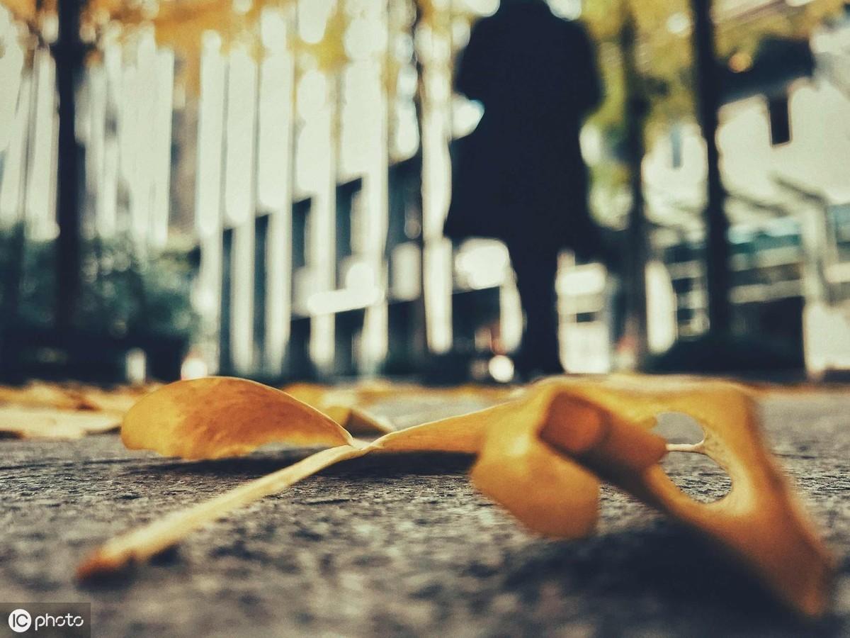 梦见捡钱预示什么？深度解析财富与心理的双重密码