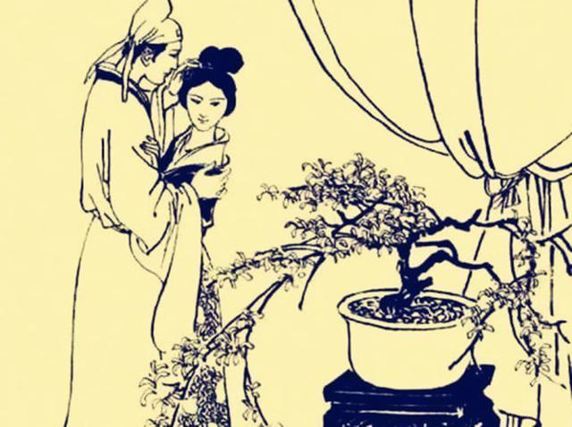 女生梦见黑蛇预示什么?2025年运势解析与转运指南 女生梦见黑蛇预示什么?2025年运势解析与转运指南