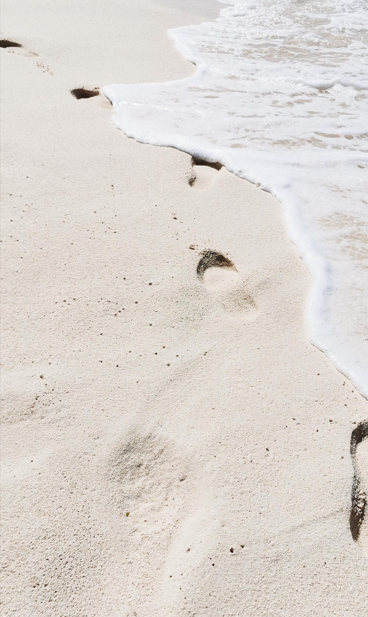 层拼音 到底怎么读才正确? 层拼音 到底怎么读才正确?