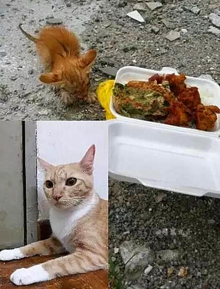 西班牙踢塞尔维亚会爆冷吗? 西班牙踢塞尔维亚会爆冷吗?