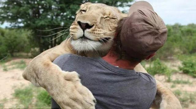 猫咪森林歌词里藏着多少成年人的秘密? 猫咪森林歌词里藏着多少成年人的秘密?