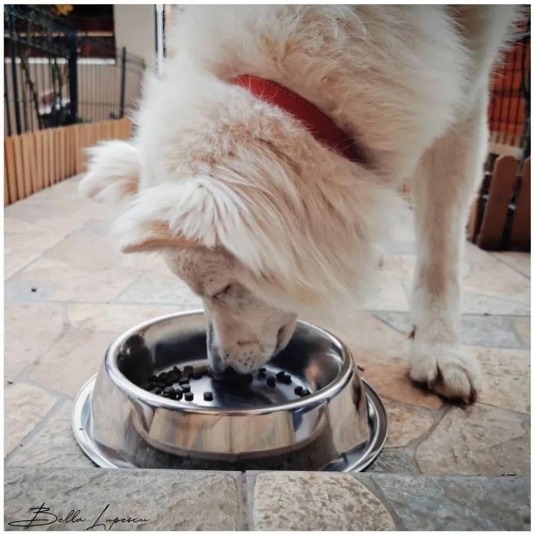 如何省3万完成赛纳改装？新手必看的避坑指南与流程解析