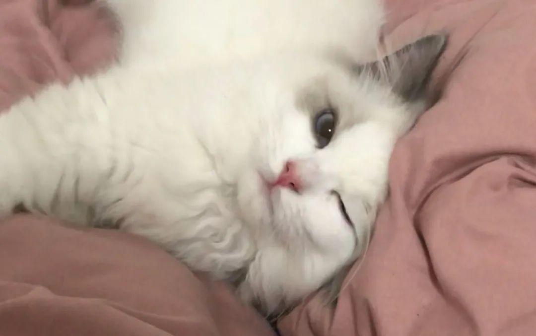 梦见喉咙卡住是吉是凶？天秤座警惕情感危机，3招破解沟通封印