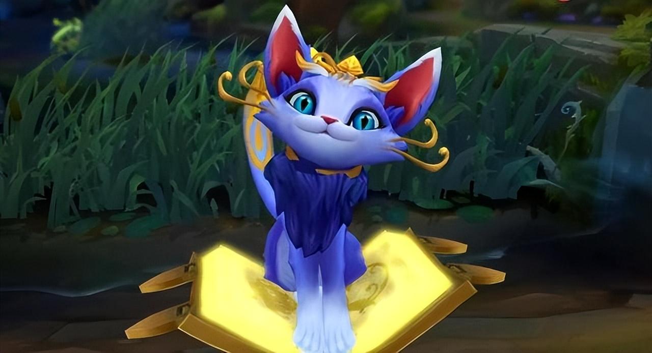 LOL里的魔法猫咪到底该怎么玩？