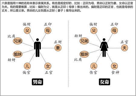 免费命理推算准吗疑问全解析权威方法验证