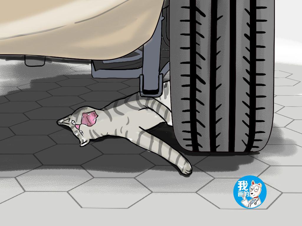 带猫坐高铁会被赶下车吗? 带猫坐高铁会被赶下车吗?