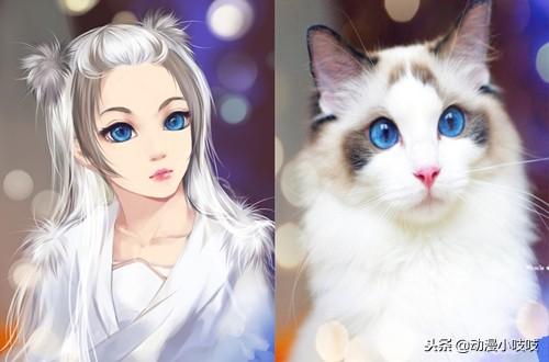 猫咪疯狂舔毛是生病了吗？