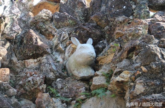 哪种生肖动物最擅长玩捉迷藏? 哪种生肖动物最擅长玩捉迷藏?