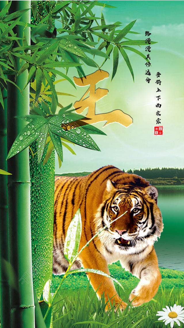 国内华人论坛第一名到底是谁？