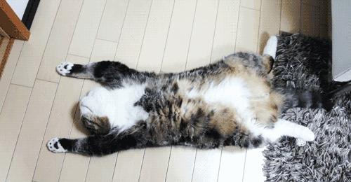 许尔勒的女友到底藏着什么秘密? 许尔勒的女友到底藏着什么秘密?