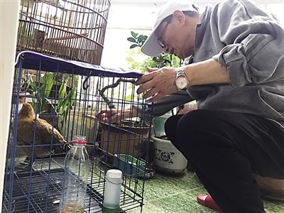 大切诺基有必要加车友会吗? 大切诺基有必要加车友会吗?