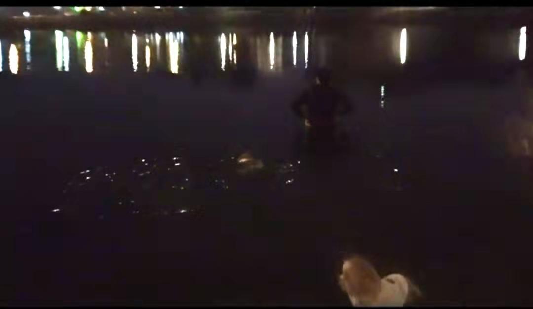 主子突然在床上撒尿?新手铲屎官怎么破防? 主子突然在床上撒尿?新手铲屎官怎么破防?