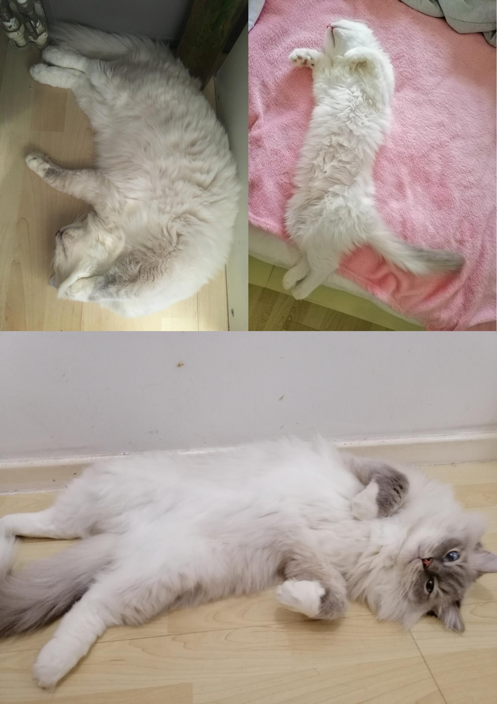 北京新影联影业公司﻿App无法提现怎么办-网上做单平台被骗充值提现不了如何追回 