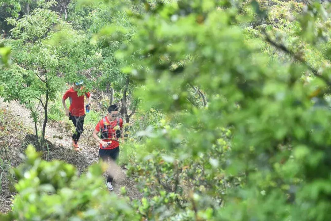 怎么把自家猫咪变成动漫头像？