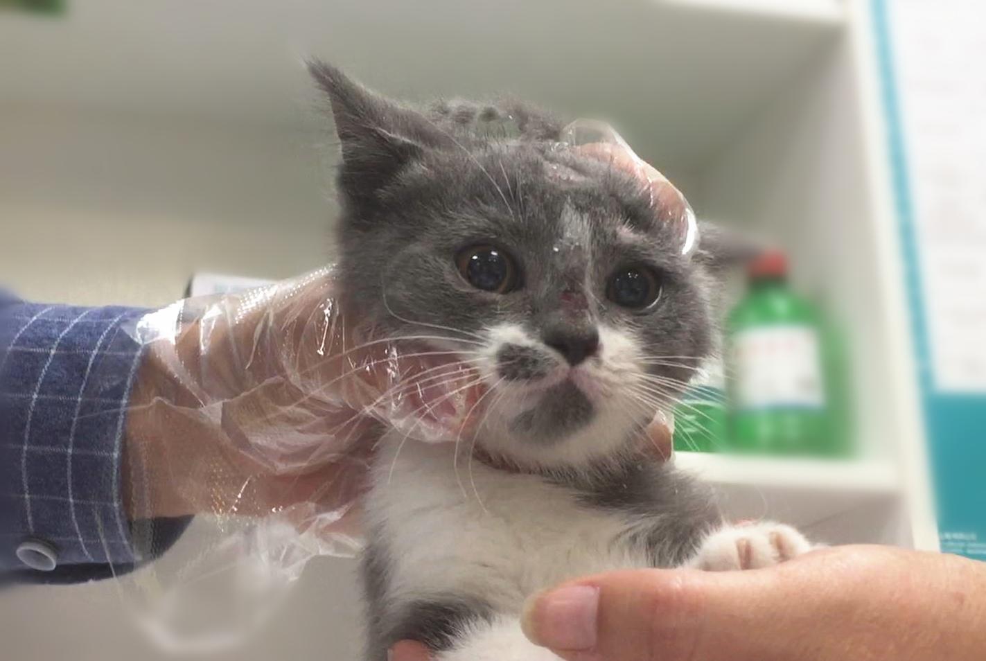 为什么克罗地亚0-0比利时让球迷集体破防？