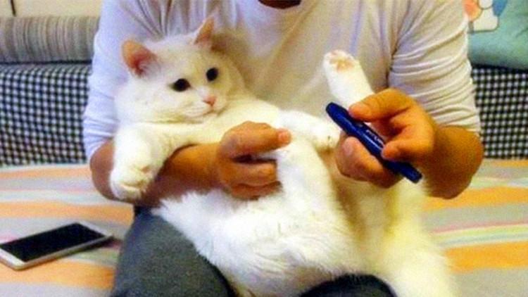 Bonus Slot Mesin: Fitur Menarik dalam Permainan Slot yang Bisa Naikkan Peluang Menang