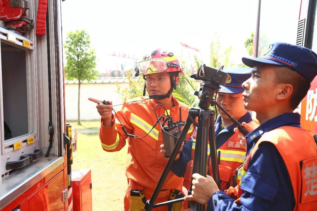 阿根廷和法国队哪个更适合新手开荒？