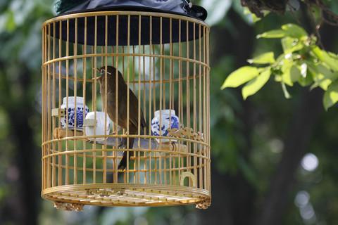 2013款新宝来现在还能买吗？