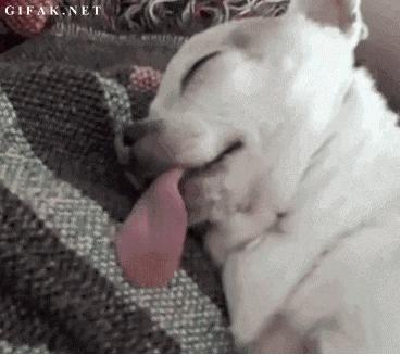 原版周公解梦:梦见骨头的16种凶吉预兆与破解方法 原版周公解梦:梦见骨头的16种凶吉预兆与破解方法