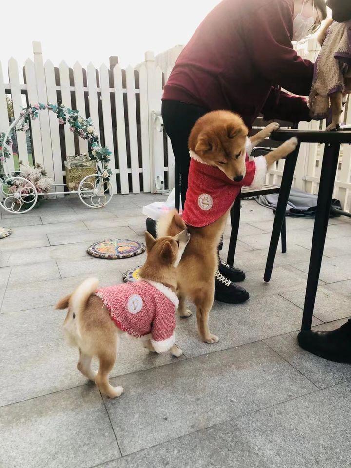 中国男足主教练付博能带咱们冲出亚洲吗？