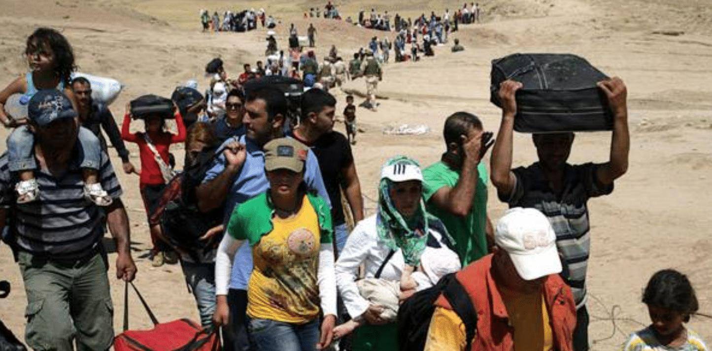 印度难民未入境中国的因素