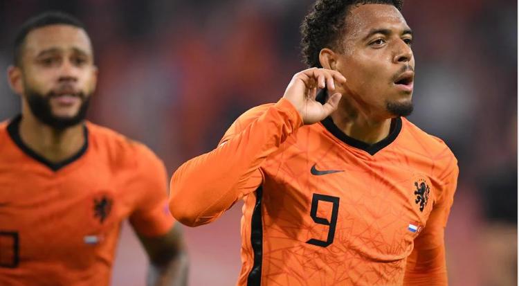 贝尔豪斯怎么玩？新手必看的生存指南