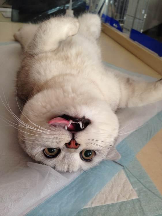 鲁H376E7车牌解析：编码规则、归属地与常见问题，如何查询鲁H车牌信息？