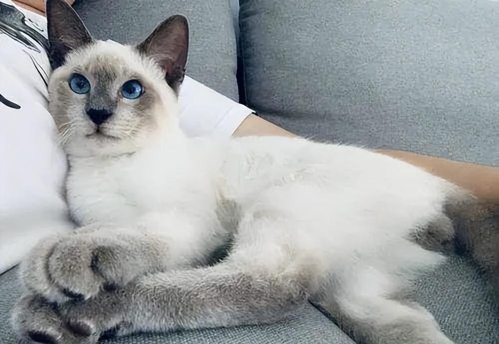 佛州华人论坛到底该怎么玩转？新手必看十大秘籍！