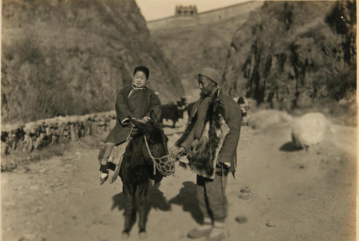 你还在用普通表情包和猫咪互动？这些符号能让你的聊天记录萌翻全场！