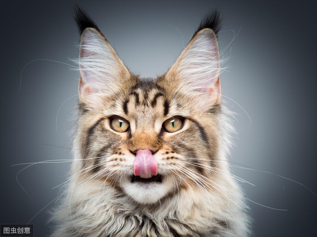 网上姓名配对测出来的结果能信吗？