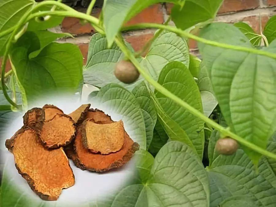 梦见男朋友什么比较好?解析7种预兆与情感修复指南 梦见男朋友什么比较好?解析7种预兆与情感修复指南