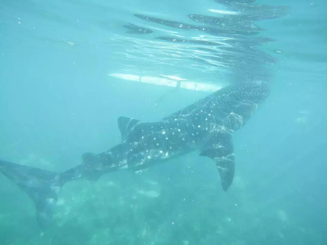 免费在线起名真的靠谱吗？