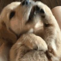 思域车友会：月省2000元的秘密基地怎么找？