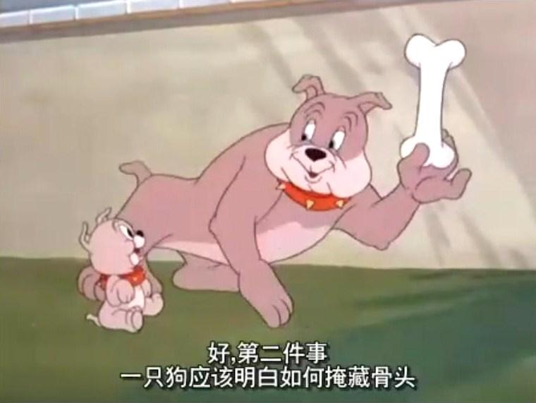 养站起来比狗还大的猫是种什么体验？