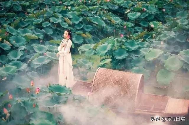 梦见老师教题预示什么?2025年星座解析与3大转运术 梦见老师教题预示什么?2025年星座解析与3大转运术