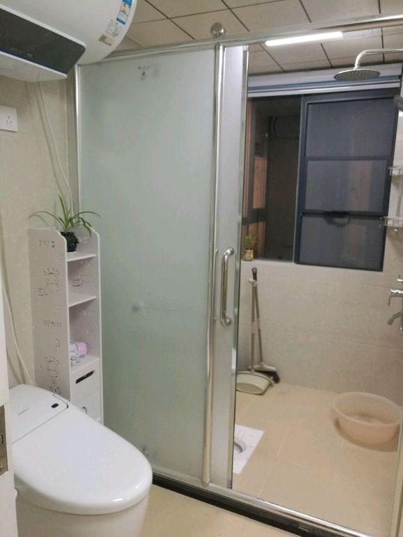 猫咪秃毛还传染人？新手铲屎官如何应对猫藓危机？