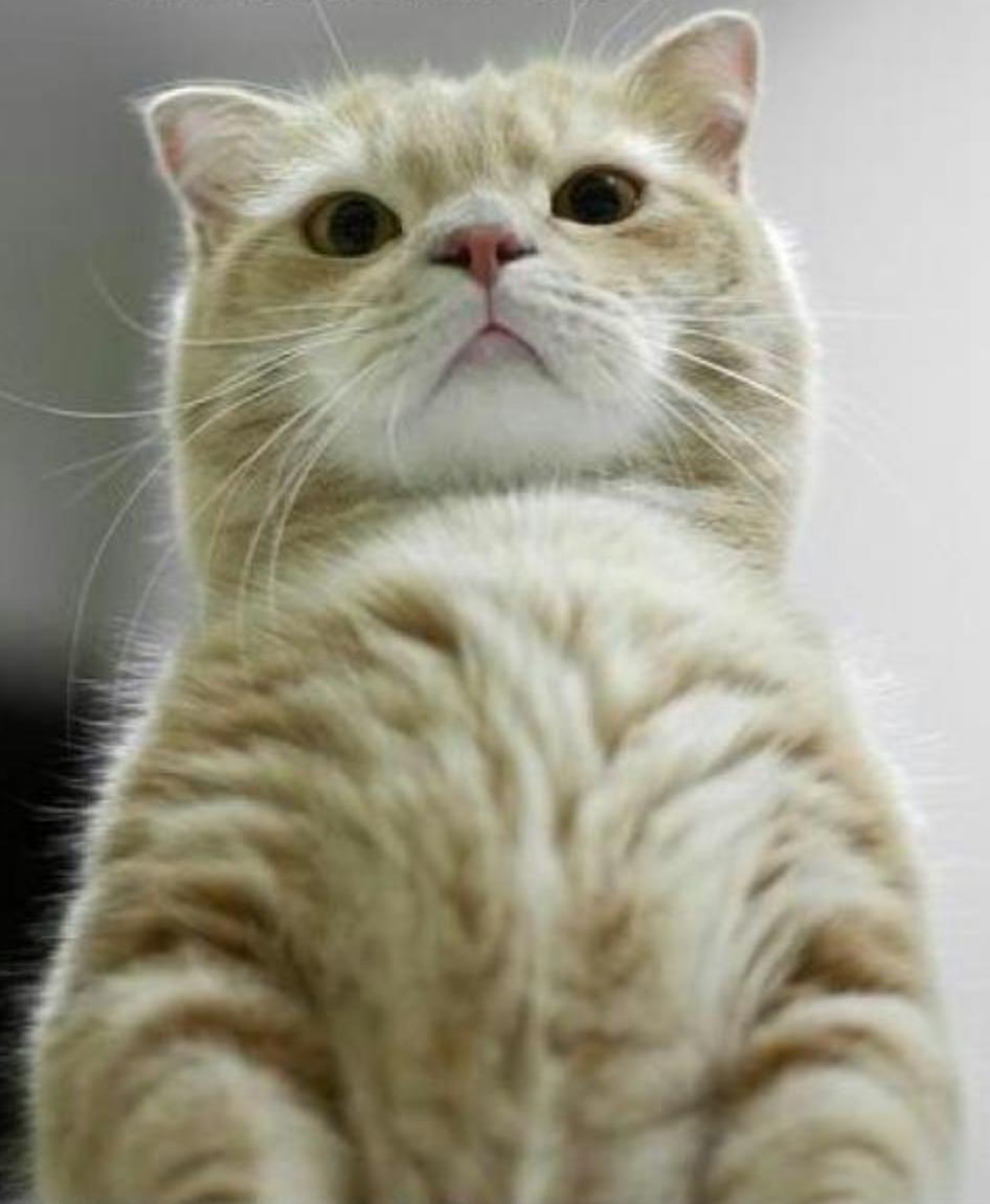 Rumus putaran mesin slot: Konsep penting untuk permainan dan keberuntungan