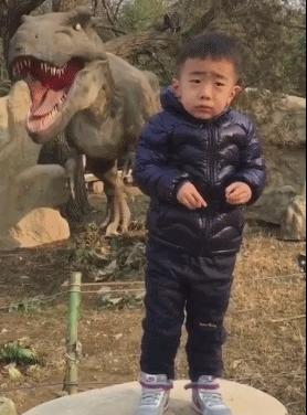 淘宝个人好评率怎么看