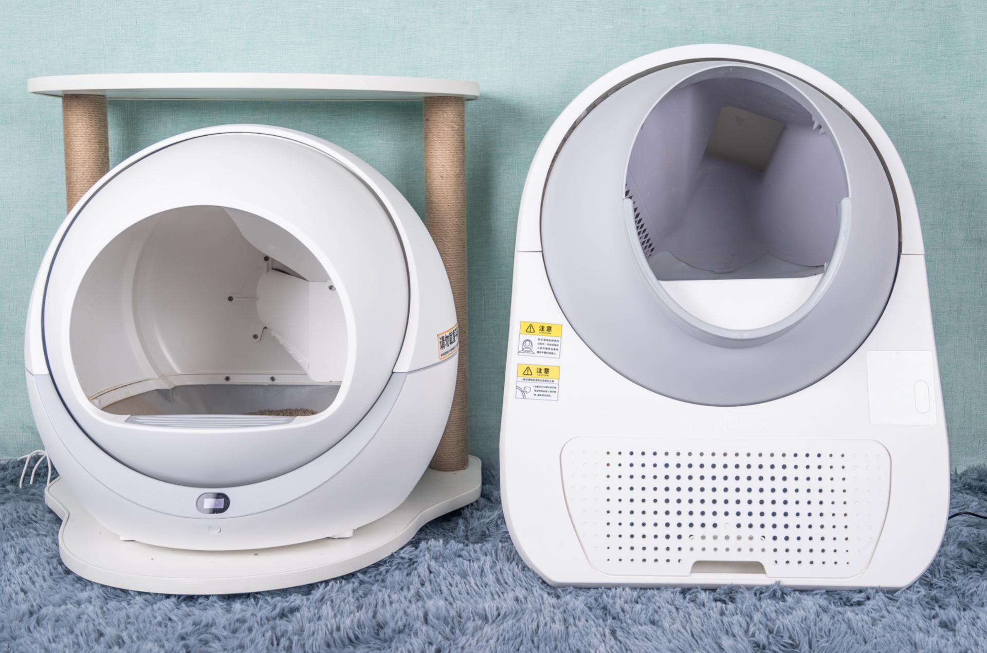 你家猫主子为啥总爱趴你腿上睡觉？